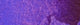 Daniel Smith Extra Fine Watercolour - 15 ml tube - Cobalt Blue Violet