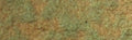 Daniel Smith Extra Fine Watercolour - 15 ml tube - Duochrome Saguaro Green