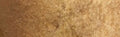 Daniel Smith Extra Fine Watercolour - 15 ml tube - Goethite (Brown Ochre)