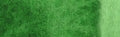 Daniel Smith Extra Fine Watercolour - 15 ml tube - Hooker’s Green