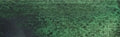 Daniel Smith Extra Fine Watercolour - 15 ml tube - Jadeite Genuine