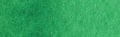 Daniel Smith Extra Fine Watercolour - 15 ml tube - Permanent Green