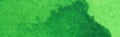 Daniel Smith Extra Fine Watercolour - 15 ml tube - Permanent Green Light