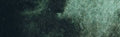 Daniel Smith Extra Fine Watercolour - 15 ml tube - Perylene Green
