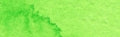 Daniel Smith Extra Fine Watercolour - 15 ml tube - Phthalo Yellow Green