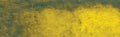 Daniel Smith Extra Fine Watercolour - 15 ml tube - Rich Green Gold