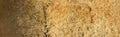 Daniel Smith Extra Fine Watercolour - 15 ml tube - Tiger’s Eye Genuine