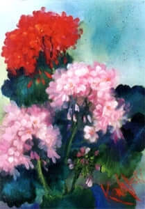 Bob Ross Floral Painting Packet - Geraniums