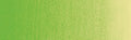 Winsor & Newton Griffin Alkyd Colour - 37 ml tube - Permanent Sap Green