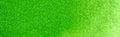 Maimeri Blu Artists' Watercolour - 12 ml tube - Hooker's Green