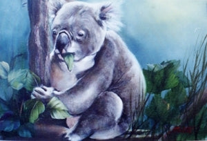 Bob Ross Wildlife Painting Packet - Hungry Koala