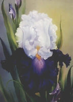 Bob Ross Floral Painting Packet - Iris