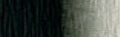 Da Vinci Paint Artists' Watercolour - 37 ml tube - Lamp Black