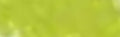 Sennelier Extra Soft Pastel - Leaf Green - 204