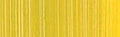 Holbein DUO Aqua Oil - 40 ml tube - Leaf Green