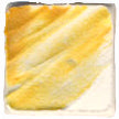 Golden - 8 oz. - Light Molding Paste