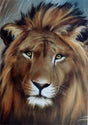 Bob Ross Wildlife Painting Packet - Lion