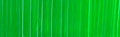 Holbein DUO Aqua Oil - 40 ml tube - Luminous Green