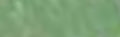 Sennelier Extra Soft Pastel - Moss Grey Green - 172