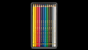 Caran D'Ache Pablo Coloured Pencil - 12 colour