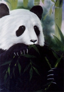 Bob Ross Wildlife Painting Packet - Panda