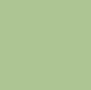 Clairefontaine Pastelmat Card Sheet 19.5" x 27.5" - Light Green