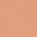 Clairefontaine Pastelmat Card Sheet 19.5" x 27.5" - Sienna