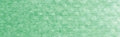 PanPastel - Permanent Green 640.5