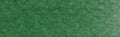 PanPastel - Permanent Green Shade 640.3