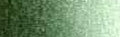 Da Vinci Paint Artists' Watercolour - 15 ml tube - Perylene Green