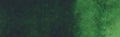 QoR Modern Watercolour - 11 ml tube - Sap Green