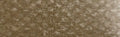 PanPastel - Raw Umber 780.5