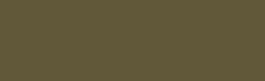 Georgian Oil Colour - 225 ml tube - Raw Umber