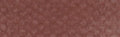 PanPastel - Red Iron Oxide Shade 380.3