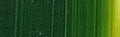 Holbein DUO Aqua Oil - 40 ml tube - Sap Green