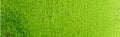 Maimeri Blu Artists' Watercolour - 12 ml tube - Sap Green