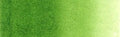 Holbein Artists' Watercolour - 15 ml tube - Sap Green