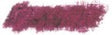 Sennelier Oil Pastel - Bordeaux - 008