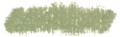 Sennelier Oil Pastel - Olive Green - 046