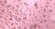 Thai Lace Paper 25" x 37" - Pale Pink