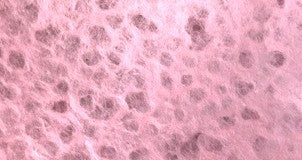 Thai Lace Paper 25" x 37" - Pale Pink
