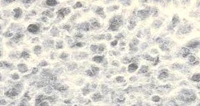 Thai Lace Paper 25" x 37" - White