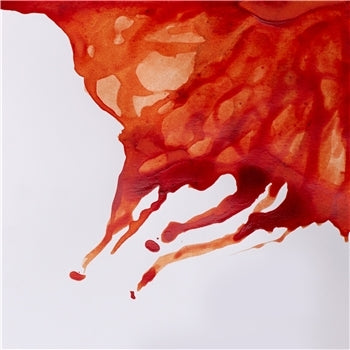 Winsor & Newton Drawing Ink - 14 ml bottle - Burnt Sienna