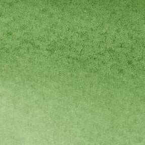 Winsor & Newton Watercolour Marker - Hooker's Green