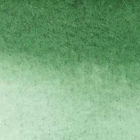 Winsor & Newton Watercolour Marker - Hooker's Green Dark