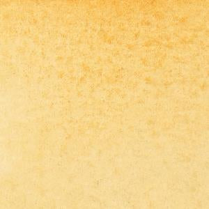 Winsor & Newton Watercolour Marker - Raw Sienna