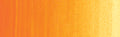 Winsor & Newton Winton Oil Colour - 200 ml tube - Cadmium Yellow Deep Hue