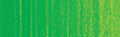 Winsor & Newton Winton Oil Colour - 200 ml tube - Permanent Green Light