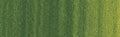 Winsor & Newton Winton Oil Colour - 37 ml tube - Sap Green