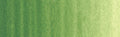 Winsor & Newton Winton Oil Colour - 37 ml tube - Terre Verte